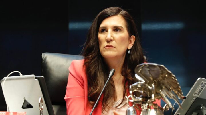 Kenia López Rabadán durante una sesión en la Cámara de Diputados