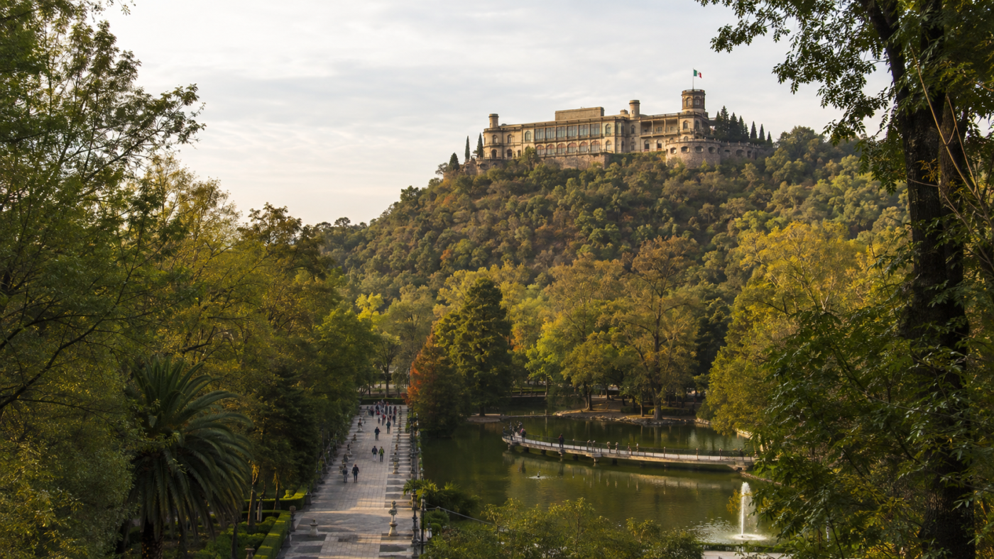Vista del Bosque de Chapultepec en la Ciudad de México, con un sendero arbolado y el Castillo de Chapultepec al fondo.